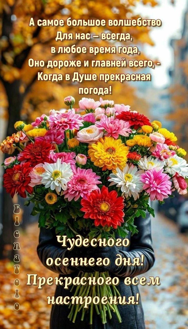 А самое большое волшебство
Для нас – всегда,
в любое время года,
Оно дороже и главней всего,-
Когда в Душе прекрасная погода!

Чудесного осеннего дня!
Прекрасного всем настроения!