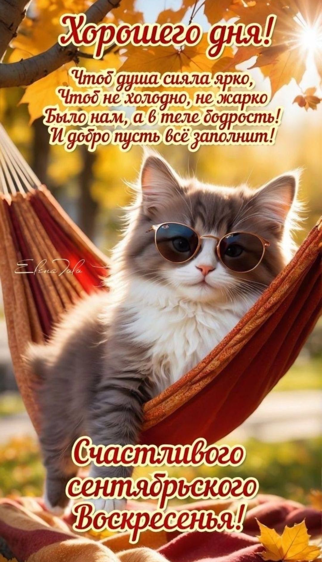 Хорошего дня! Чтобы душа сияла ярко, Чтобы не холодно, не жарко было нам, а в теле добрость! И добро пусть всё заполнит! Счастливого сентябрьского Воскресенья!