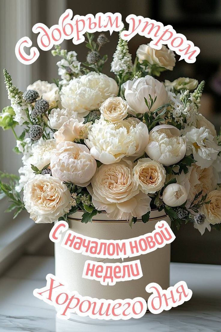 С добрым утром
С началом новой недели
Хорошего дня