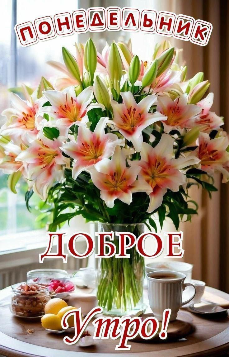 ПОНЕДЕЛЬНИК ДОБРОЕ УТРО!