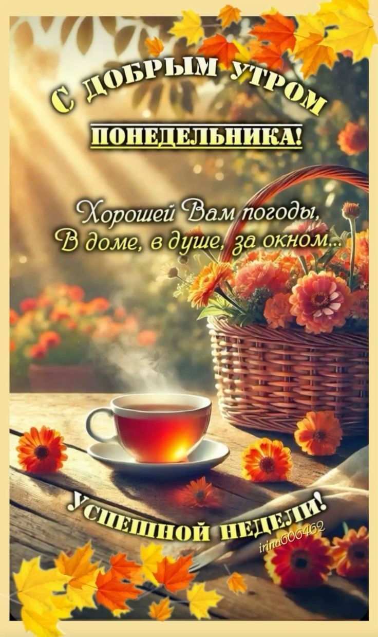 С ДОБРЫМ УТРОМ ПОНЕДЕЛЬНИКА! Хорошей Вам погоды. В доме, в душе, за окном... УСПЕШНОЙ НЕДЕЛИ!
