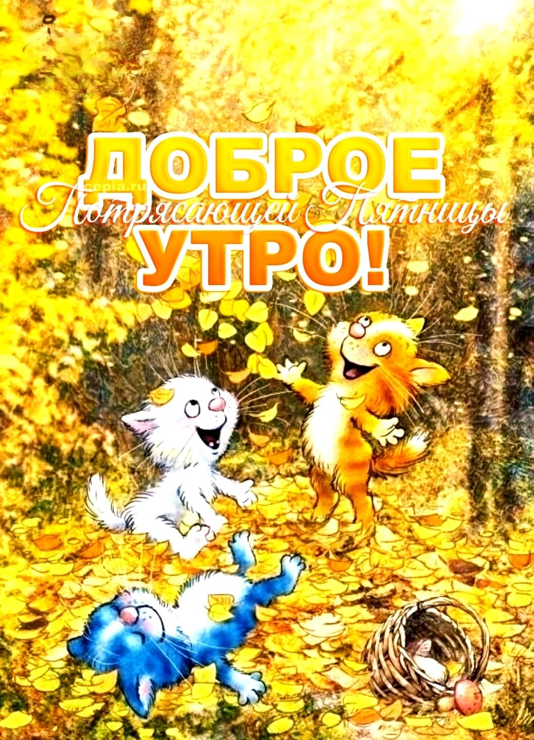 ДОБРОЕ УТРО!
