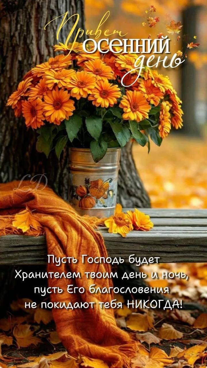 Привет осенний день!
Пусть Господь будет Хранителем твоим день и ночь, пусть Его благословения не покидают тебя НИКОЛЬДА!