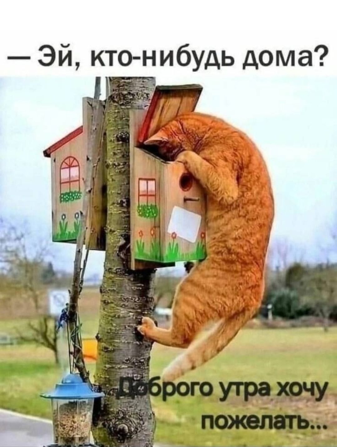 — Эй, кто-нибудь дома?
Доброе утро хочу пожелать...