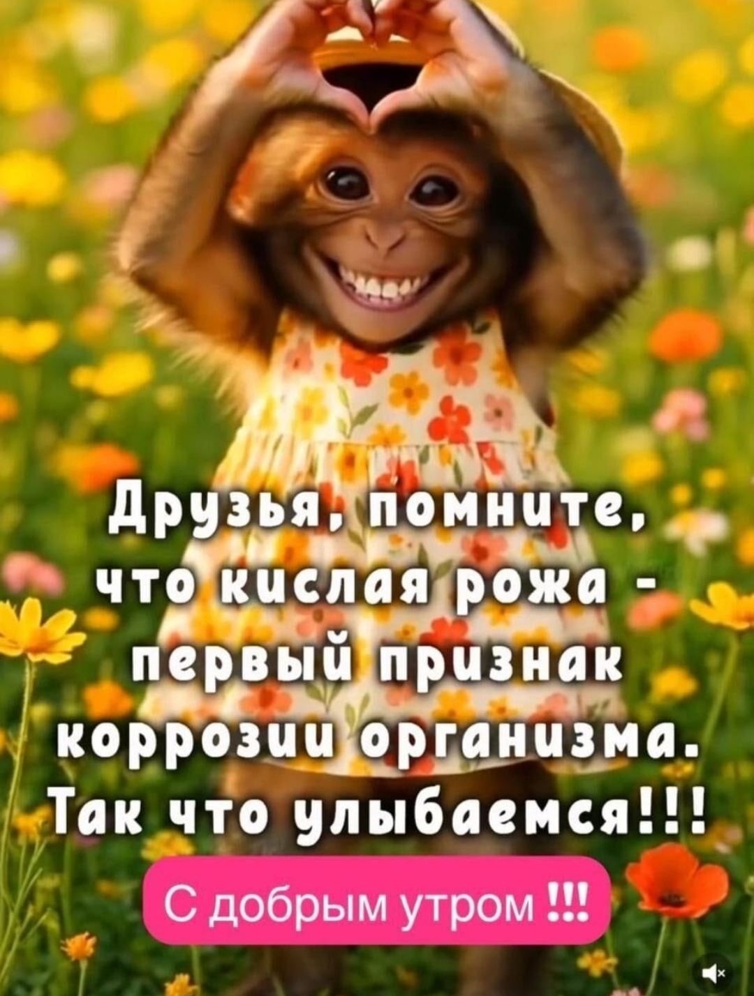 Друзья, помните, что кислая рожа - первый признак коррозии организма. Так что улыбаемся!!! С добрым утром !!!