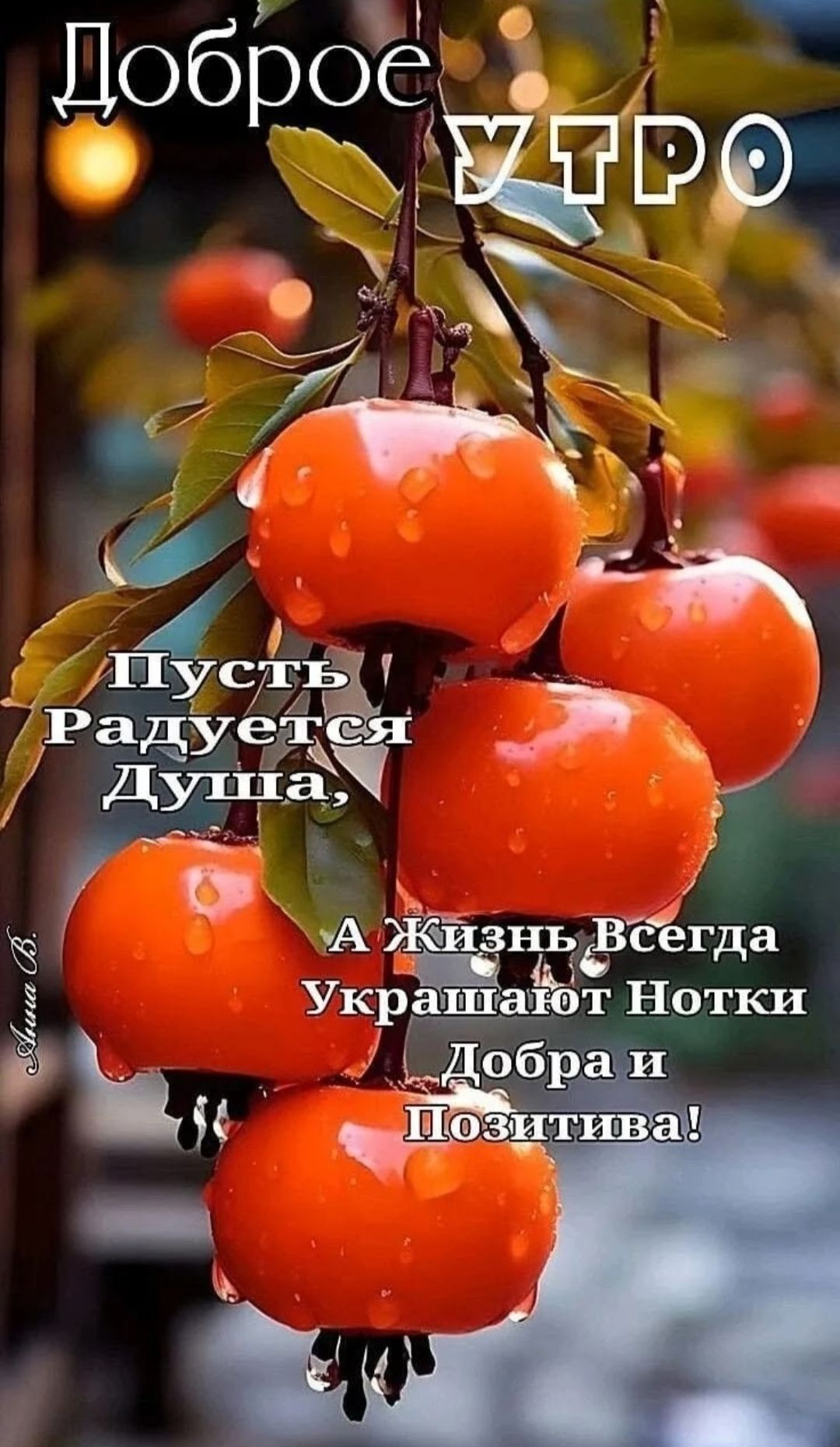 Доброе УТРО
Пусть Радуется Душа,
А Жизнь Всегда Украшают Нотки Добра и Позитива!