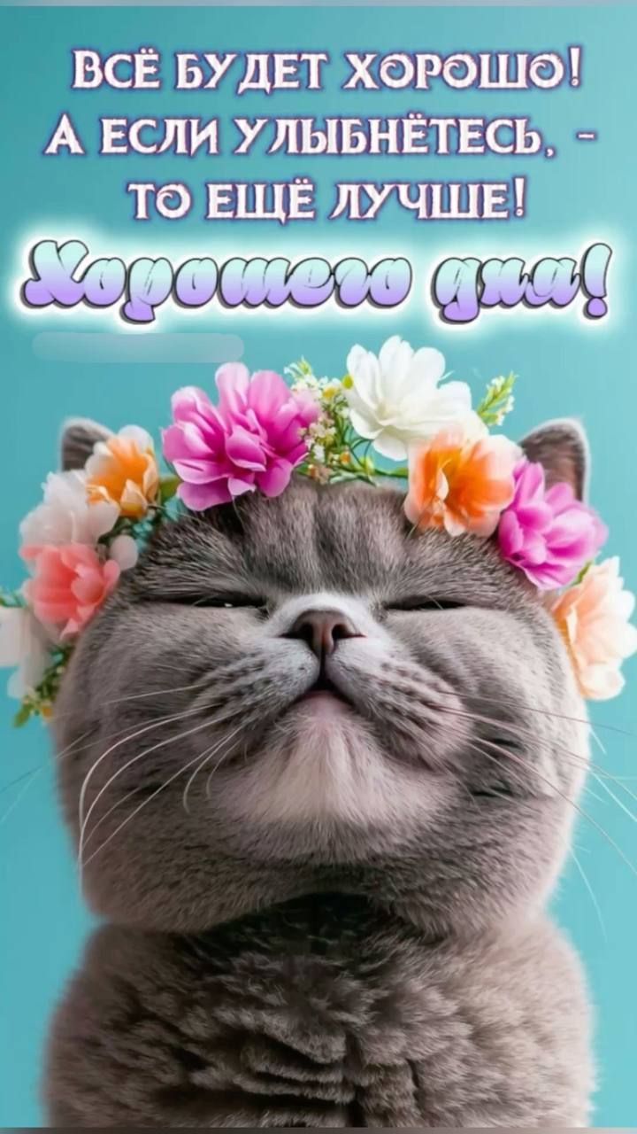 ВСЁ БУДЕТ ХОРОШО! А ЕСЛИ УЛЫБНЁТЕСЬ, - ТО ЕЩЁ ЛУЧШЕ! ХОРОШЕГО ДНЯ!