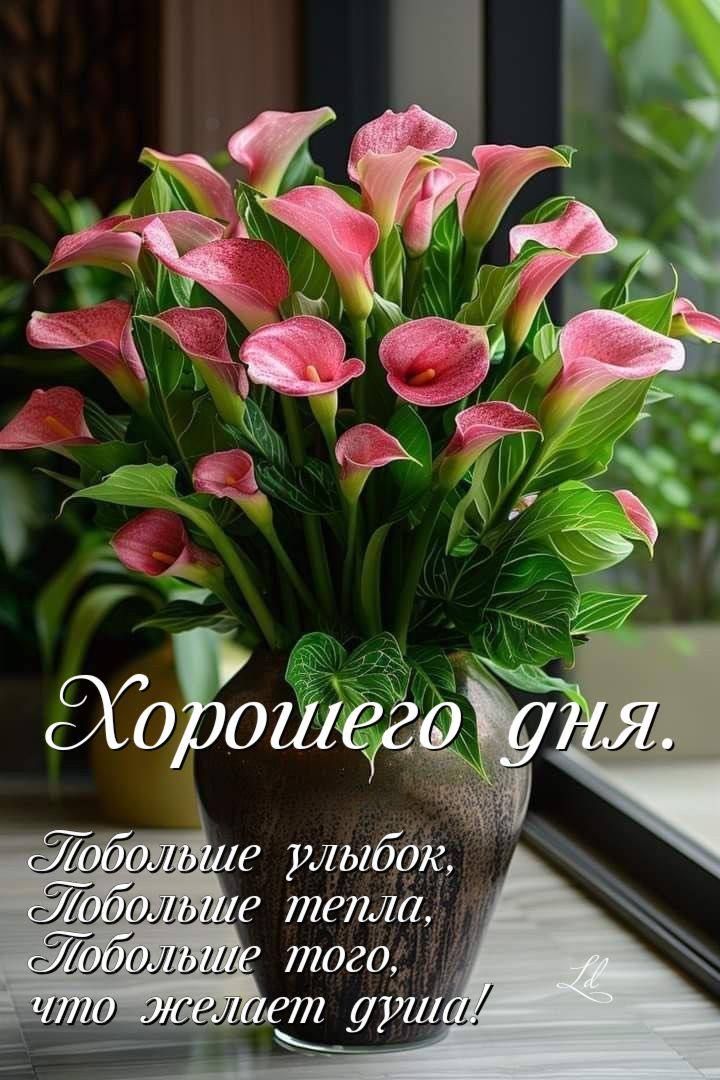 Хорошего дня.
Побольше улыбок, 
Побольше тепла, 
Побольше того, 
что желает душа!