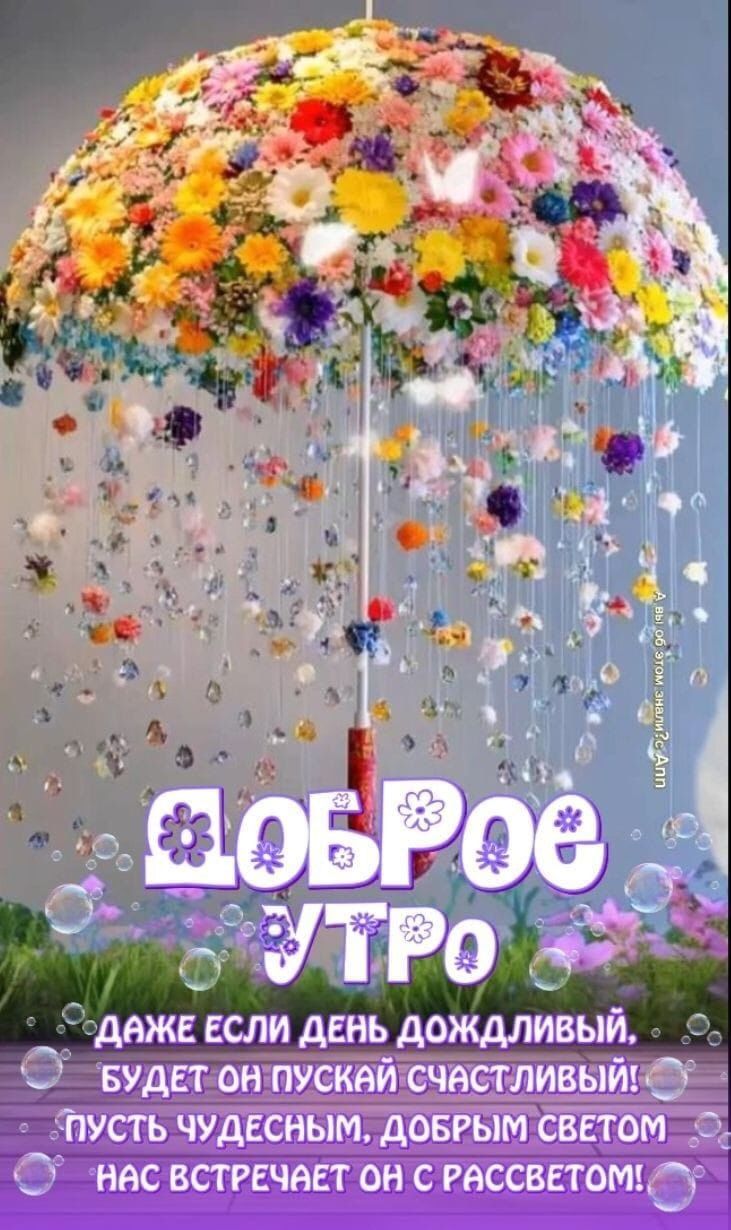 ДОБРОЕ УТРО
даже если день дождливый, будет он пустой счастливый! пусть чудесным, добрым светом нас встречает он с рассветом!