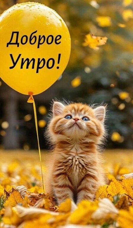 Доброе Утро!