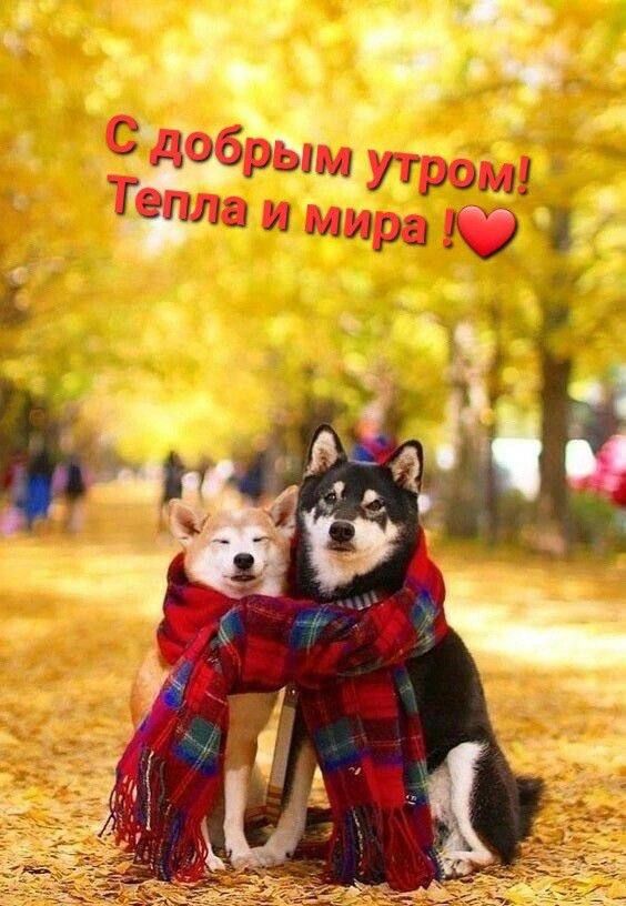 С добрым утром! Тепла и мира !❤️