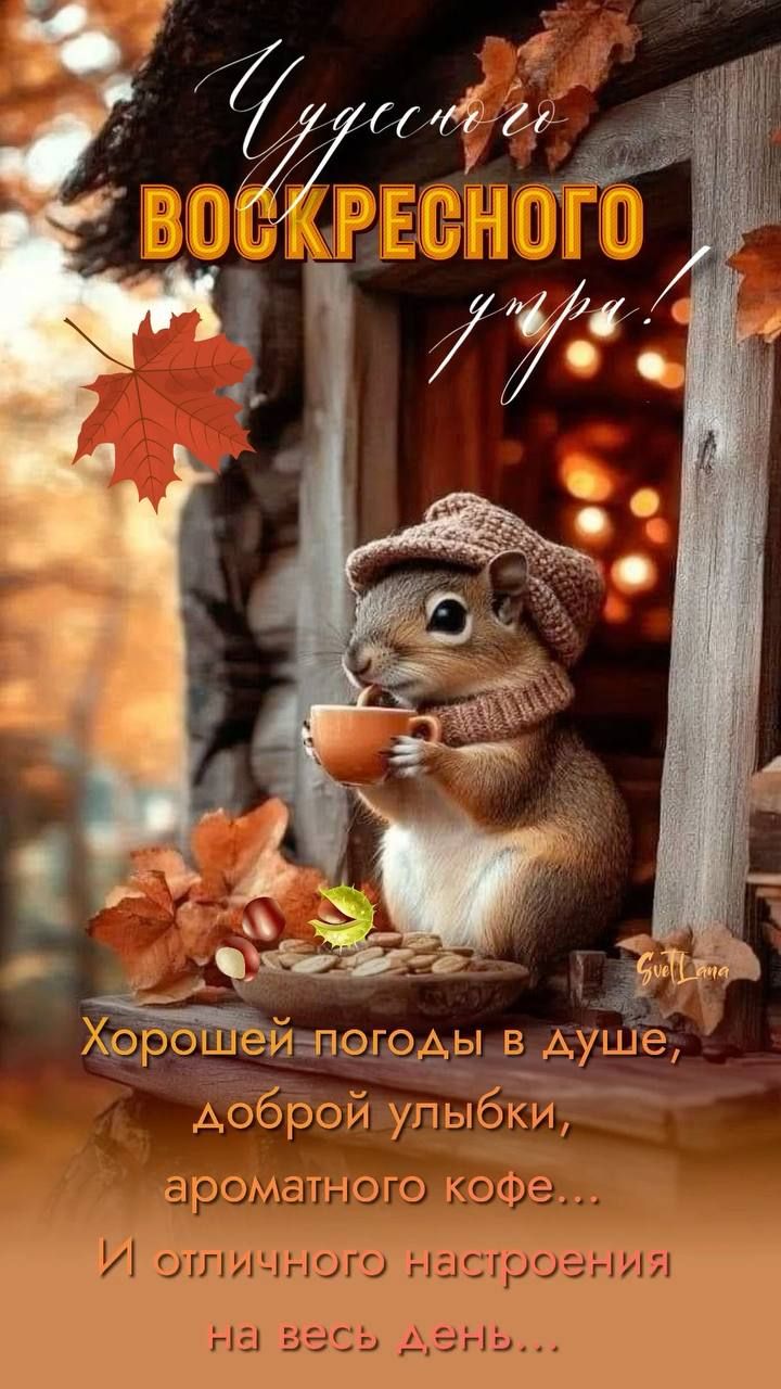 Чудесного ВОСКРЕСНОГО утра!
Хорошей погоды в душе, доброй улыбки, ароматного кофе... И отличного настроения на весь день...