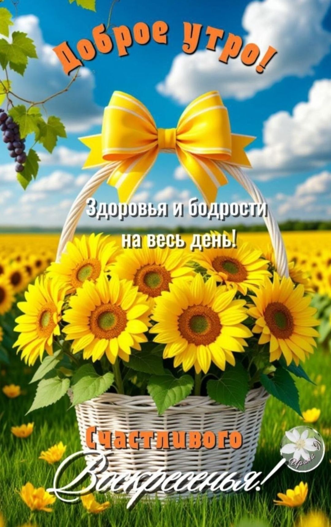 Доброе утро!
Здоровья и бодрости на весь день!
Счастливого Воскресенья!
