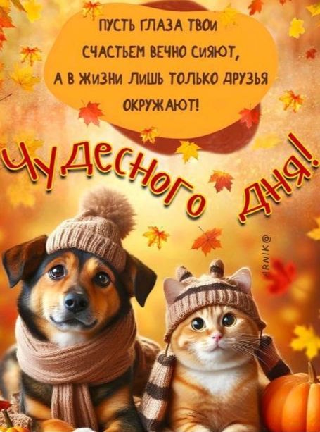 Пусть глаза твои счастьем вечно сияют, а в жизни лишь только друзья окружают!
Чудесного дня!