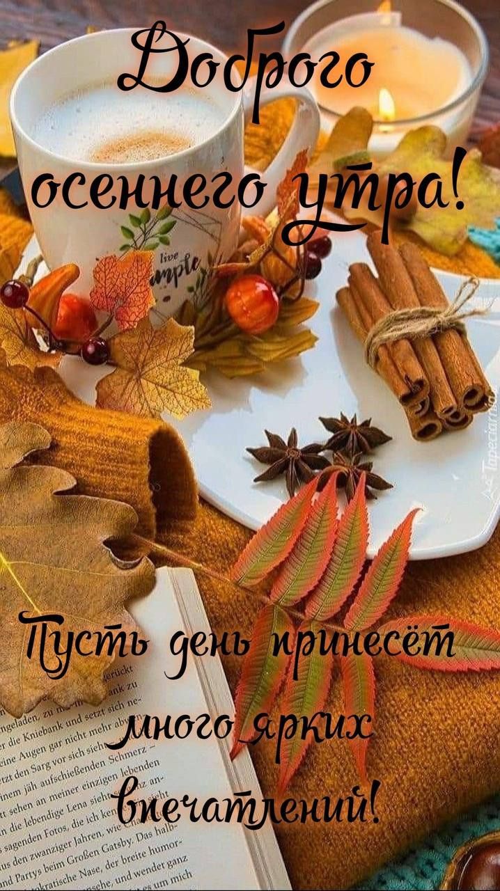 Доброго осеннего утра! Пусть день принесет много ярких впечатлений!