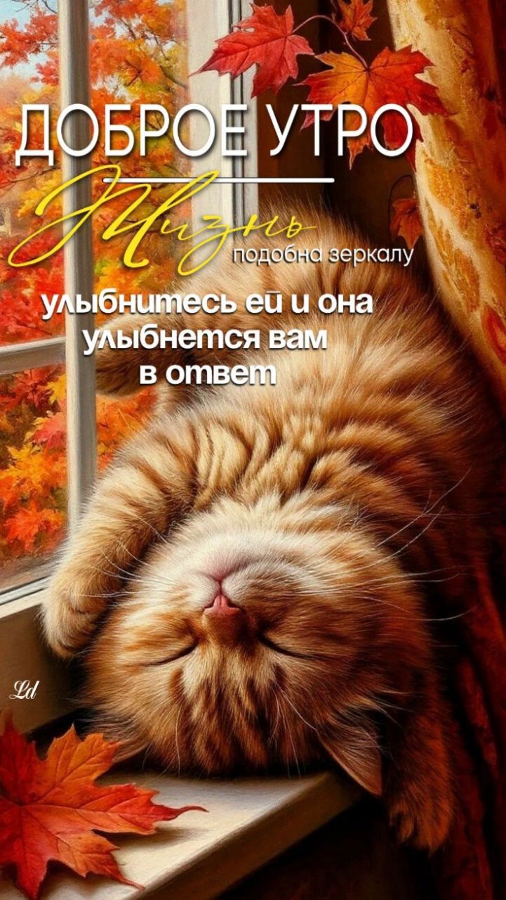 ДОБРОЕ УТРО
Жизнь подобна зеркалу
улыбнитесь ей и она
улыбнётся вам в ответ