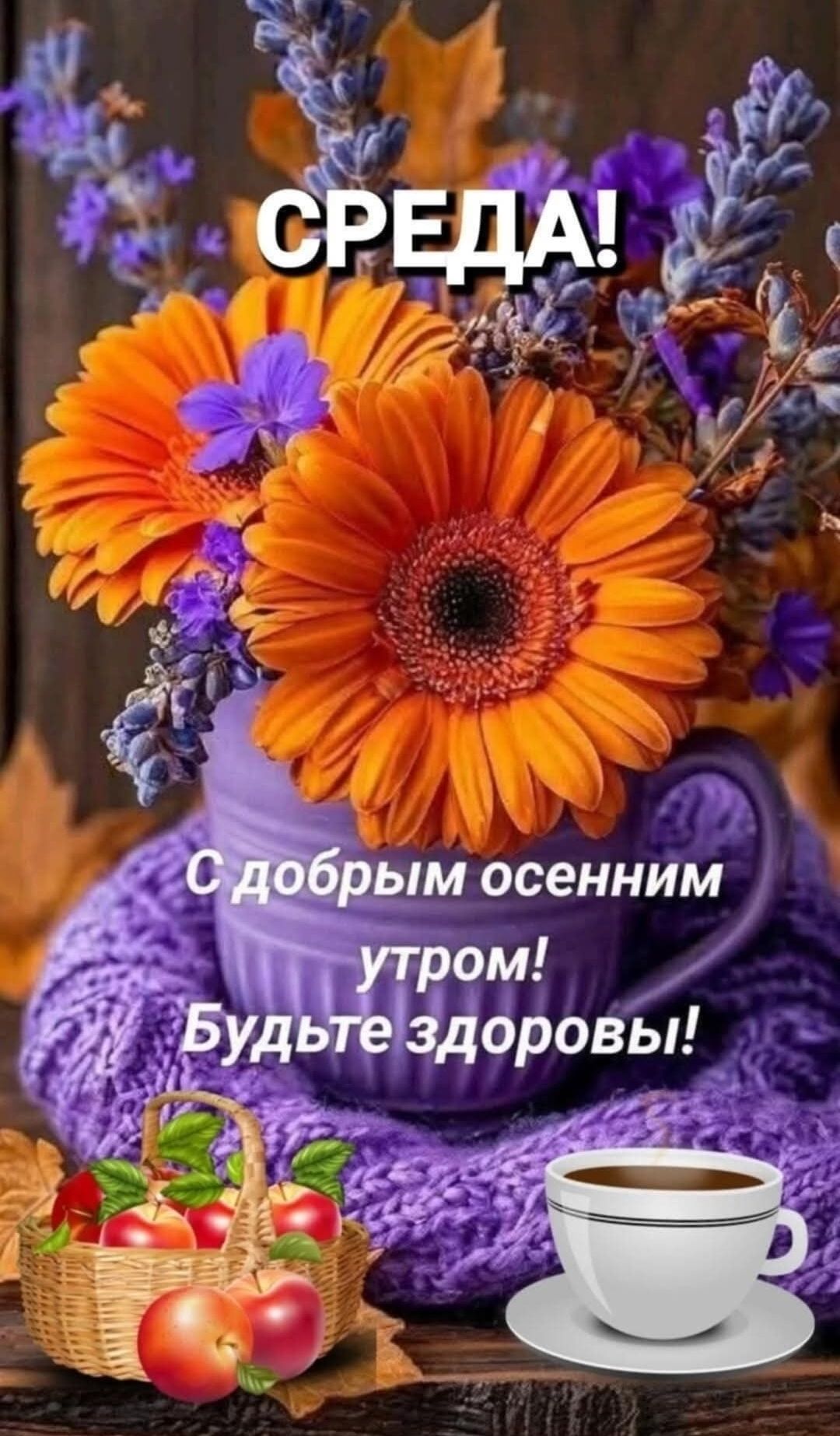 СРЕДА! С добрым осенним утром! Будьте здоровы!