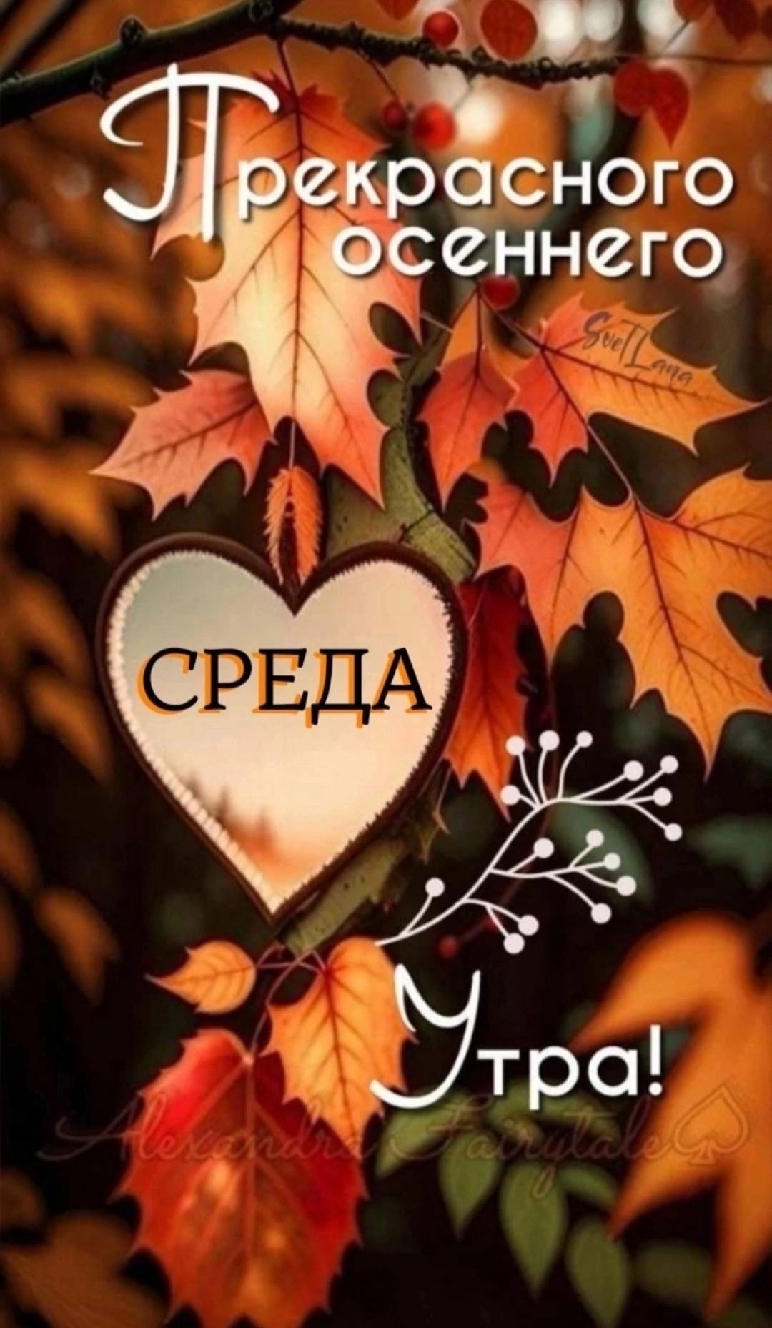 Прекрасного осеннего СРЕДА Утра!