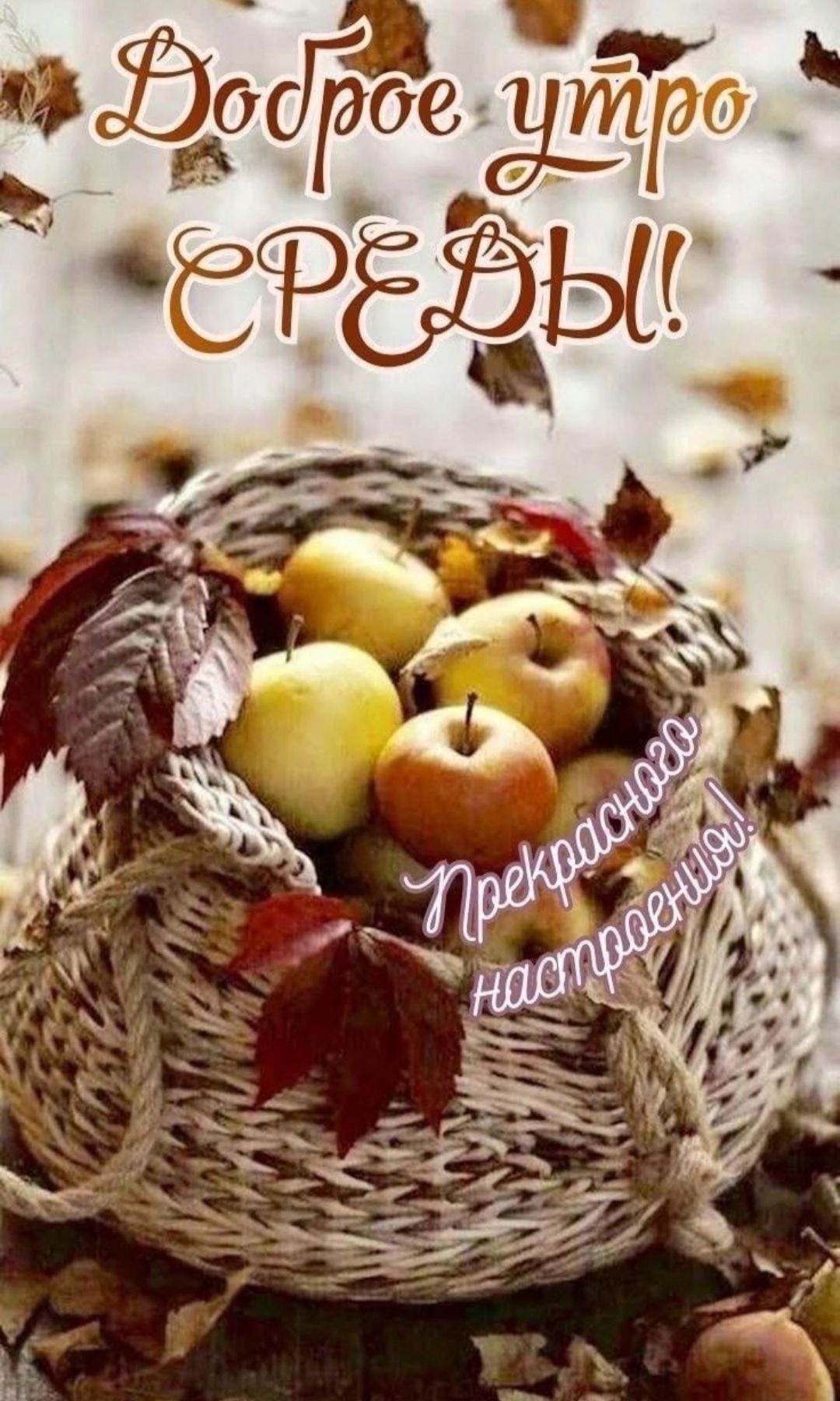 Доброе утро СРЕДЫ! Прекрасного настроения!