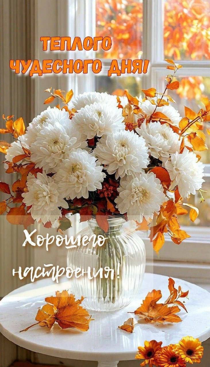 Теплого чудесного дня! Хорошего настроения!