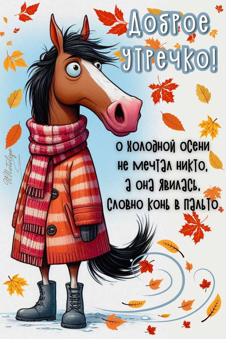 Доброе утречко! о холодной осени не мечтал никто, а она явилась, словно конь в пальто