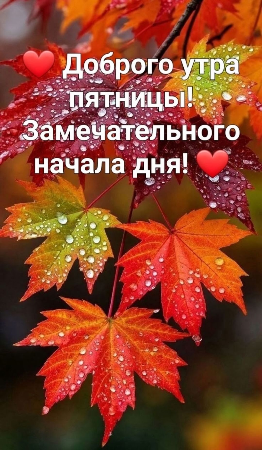 Доброе утро пятницы! Замечательного начала дня!