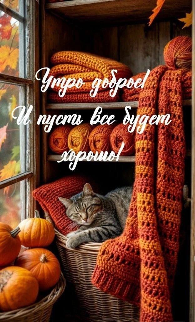 Утро доброе! И пусть все будет хорошо!