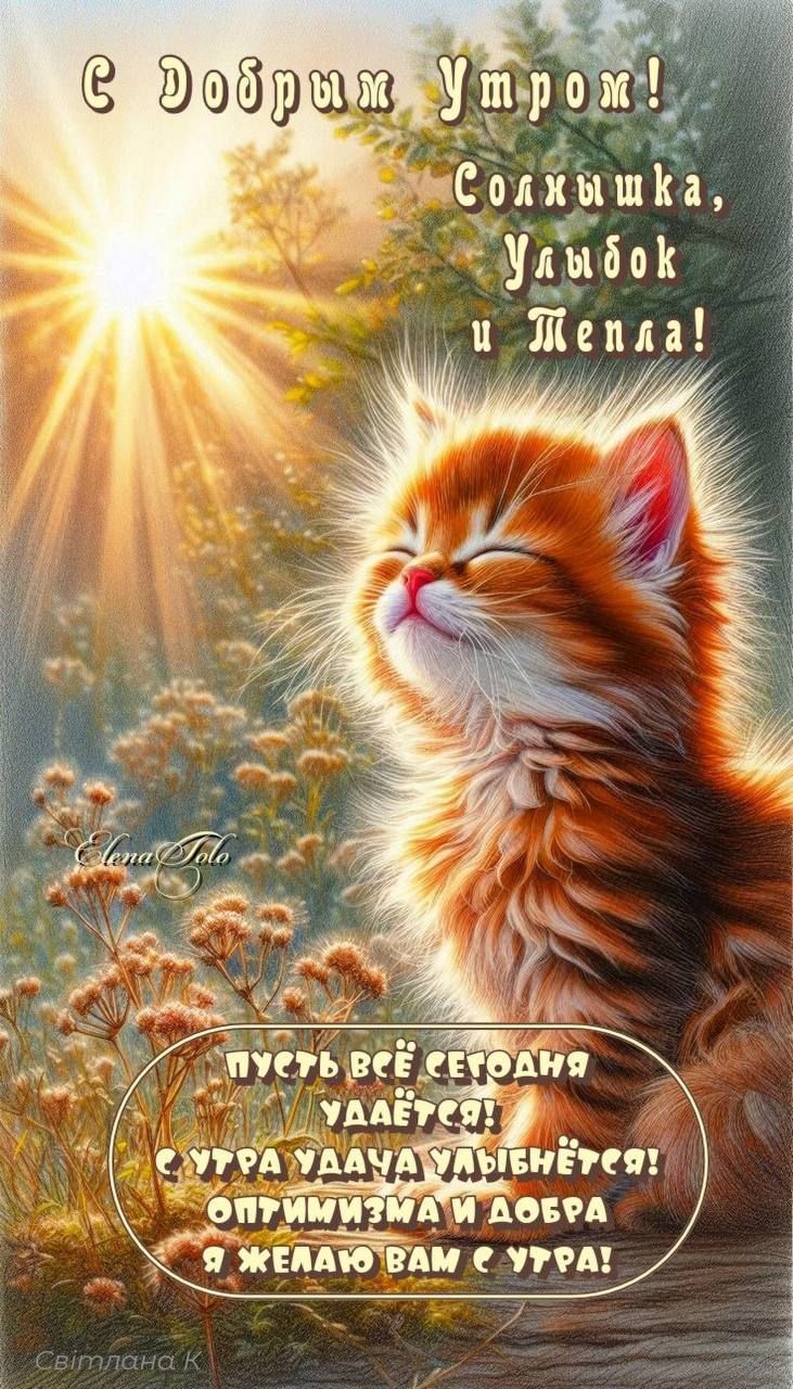 С Добрым Утром! Солнешка, Улыбок и Тепла! Пусть всё сегодня удаётся! С утра удача улыбнётся! Оптимизма и добра я желаю вам с утрa!