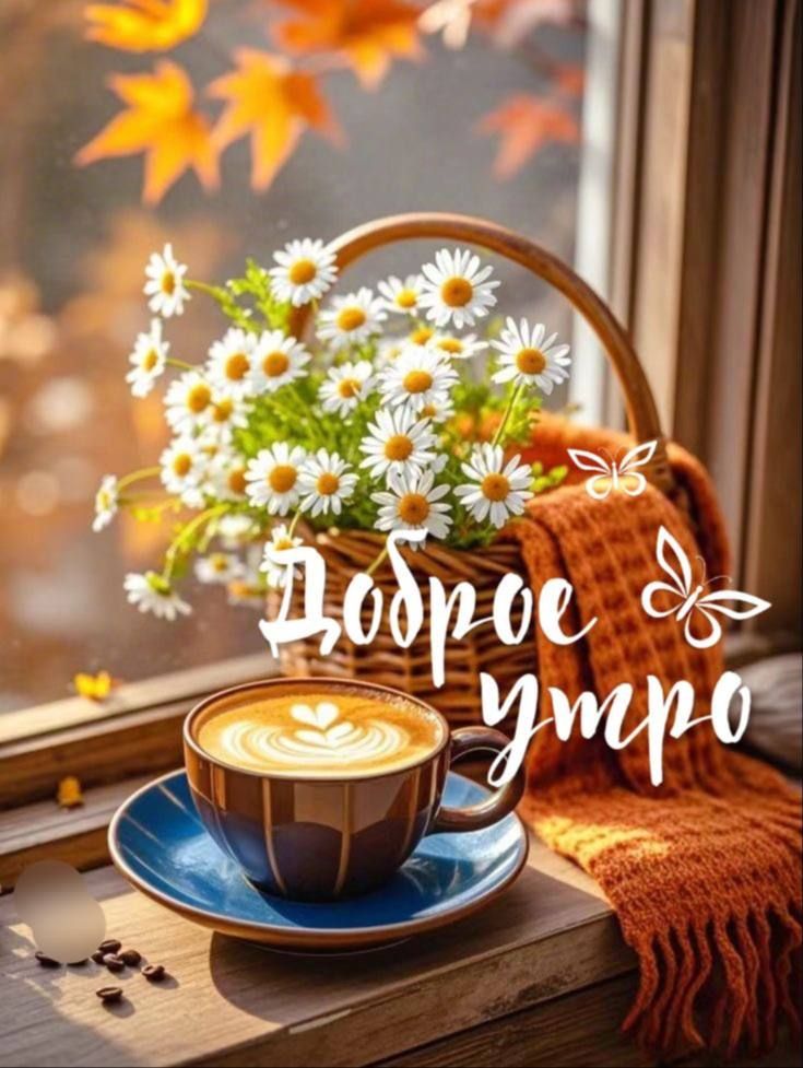Доброе утро