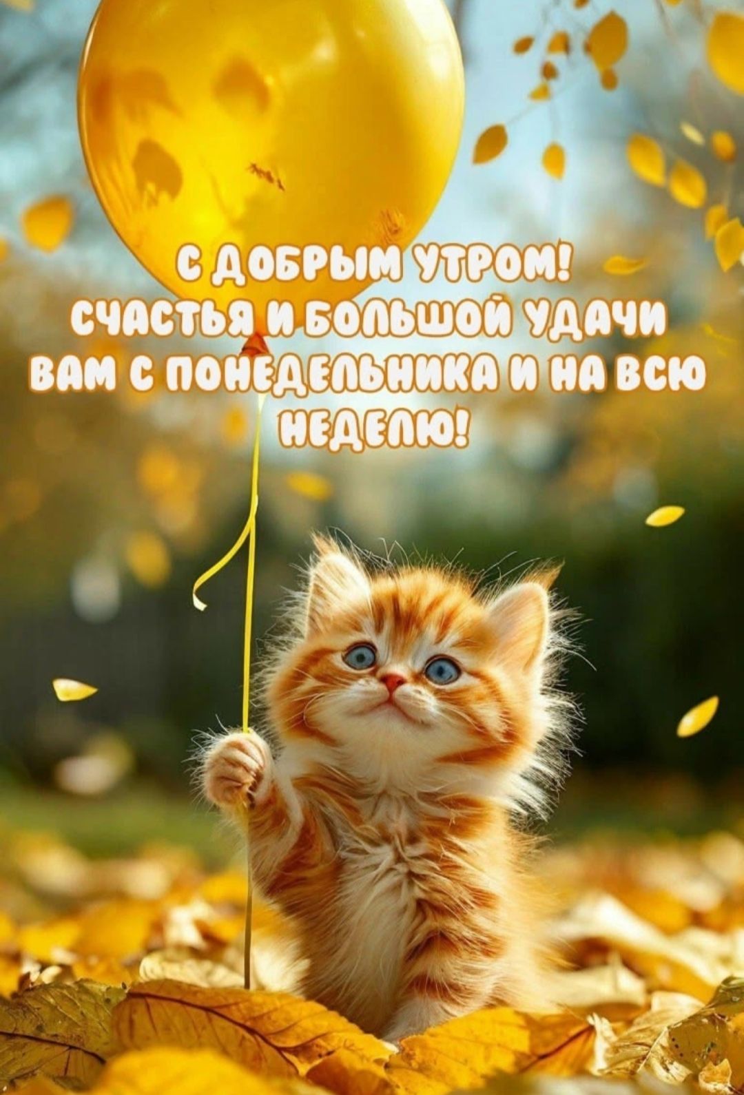 С ДОБРЫМ УТРОМ! СЧАСТЬЯ И БОЛЬШОЙ УДАЧИ ВАМ С ПОНЕДЕЛЬНИКА И НА ВСЮ НЕДЕЛЮ!