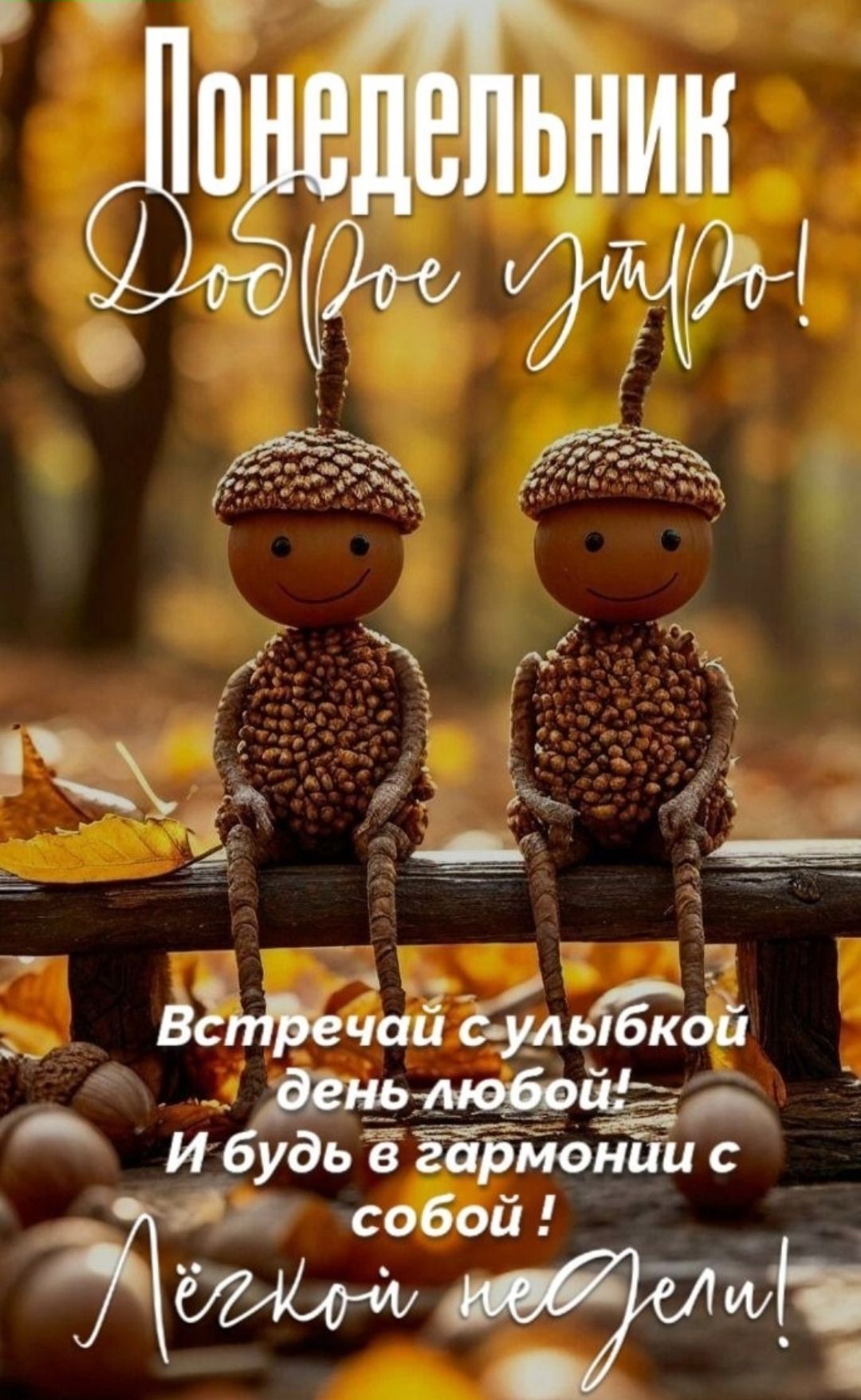 Понедельник Доброе утро! Встречай с улыбкой день любой! И будь в гармонии с собой! Лёгкой недели!