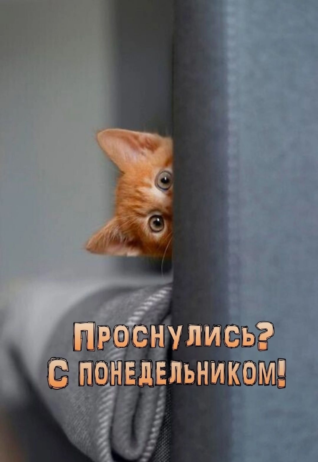 Проснулись? С понедельником!