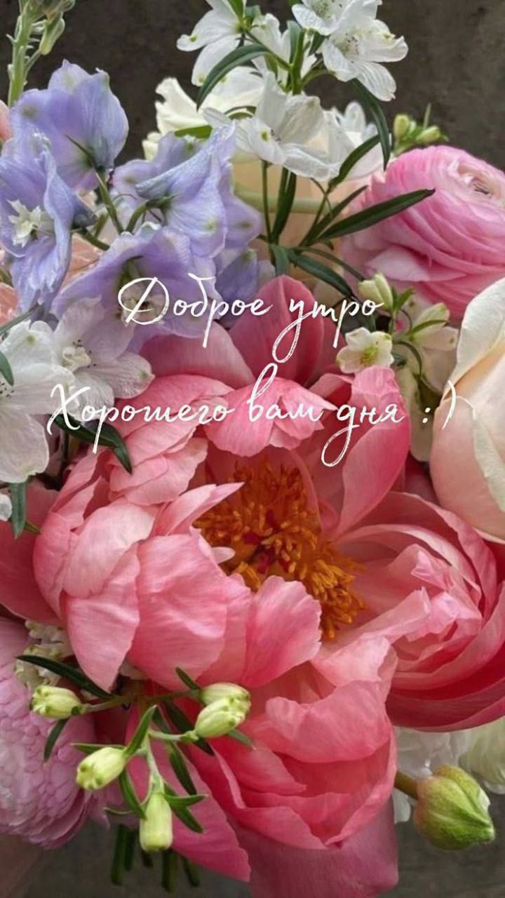 Доброе утро
Хорошего вам дня :)