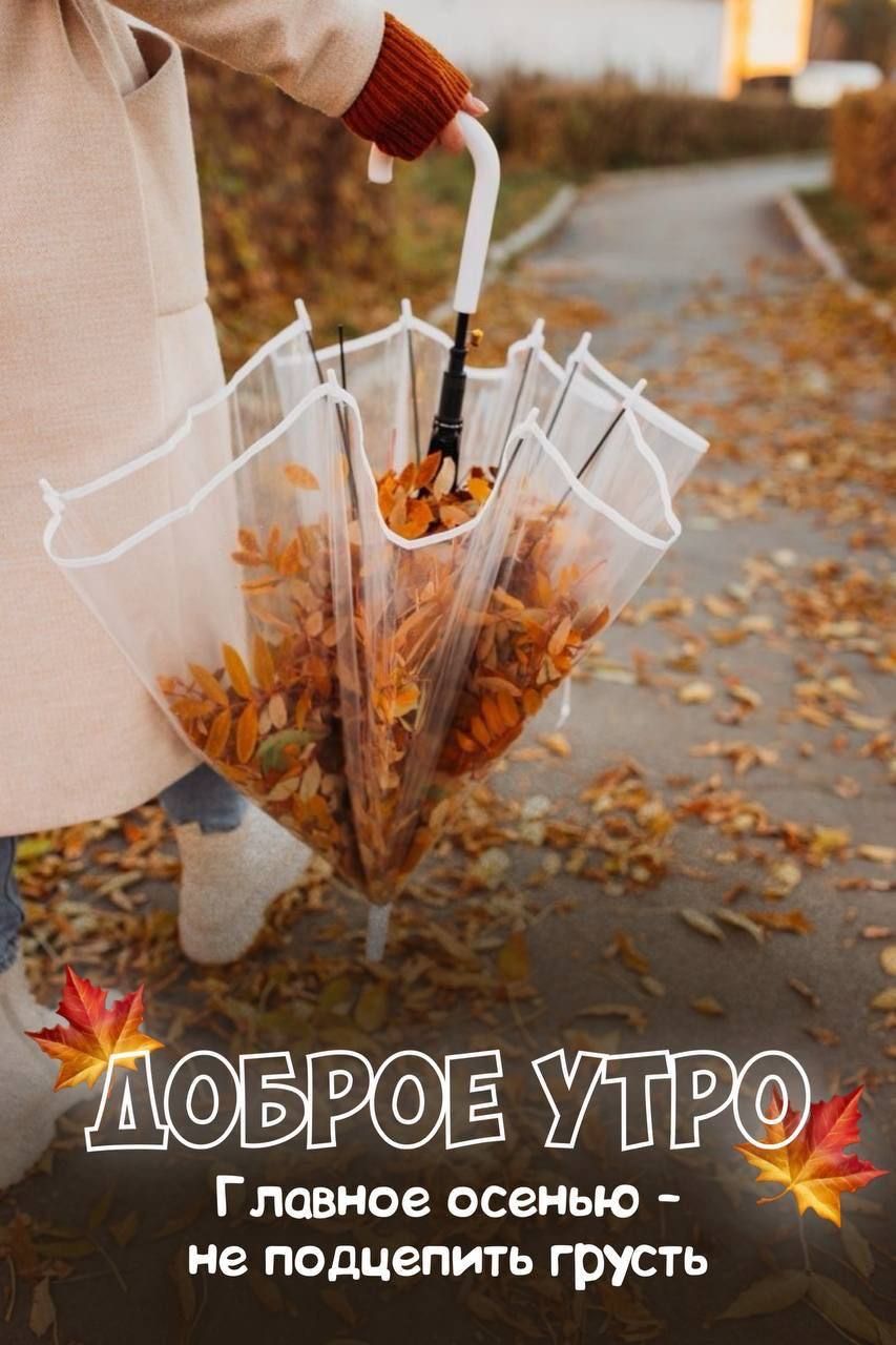 Доброе утро\nГлавное осень - не подцепить грусть