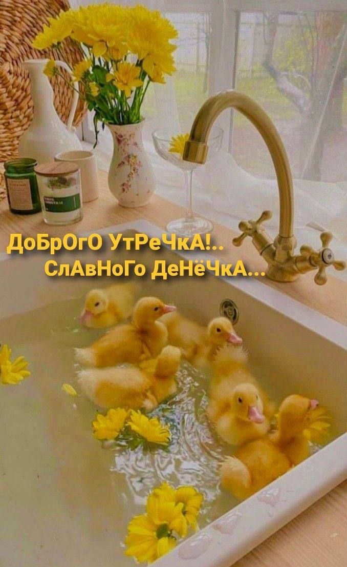 Доброго утречка!
Славного денёчка...