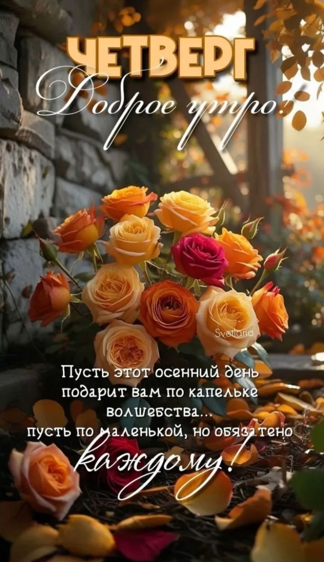ЧЕТВЕРГ
Доброе утро
Пусть этот осенний день подарит вам по капельке волшебства... пусть по маленькой, но обязательно каждому!