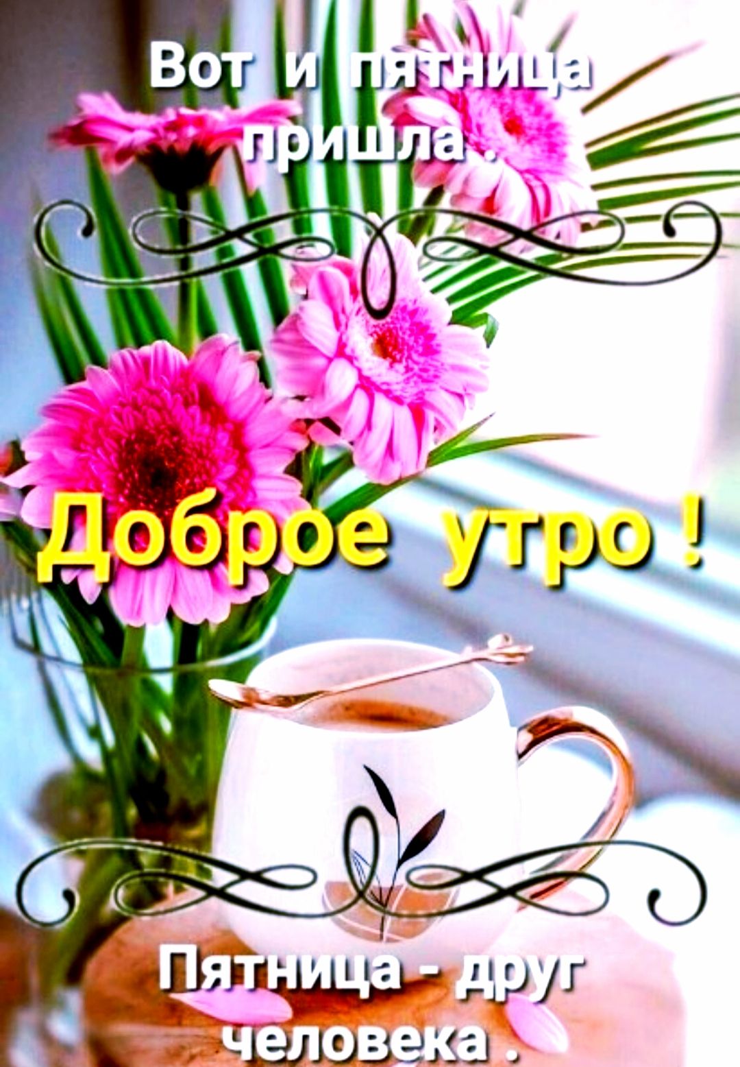 Вот и пятница пришла
Доброе утро !
Пятница - друг человека.