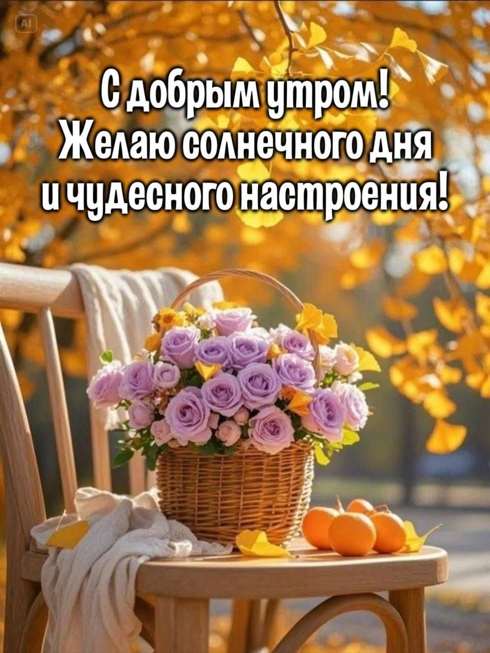 С добрым утром! Желаю солнечного дня и чудесного настроения!