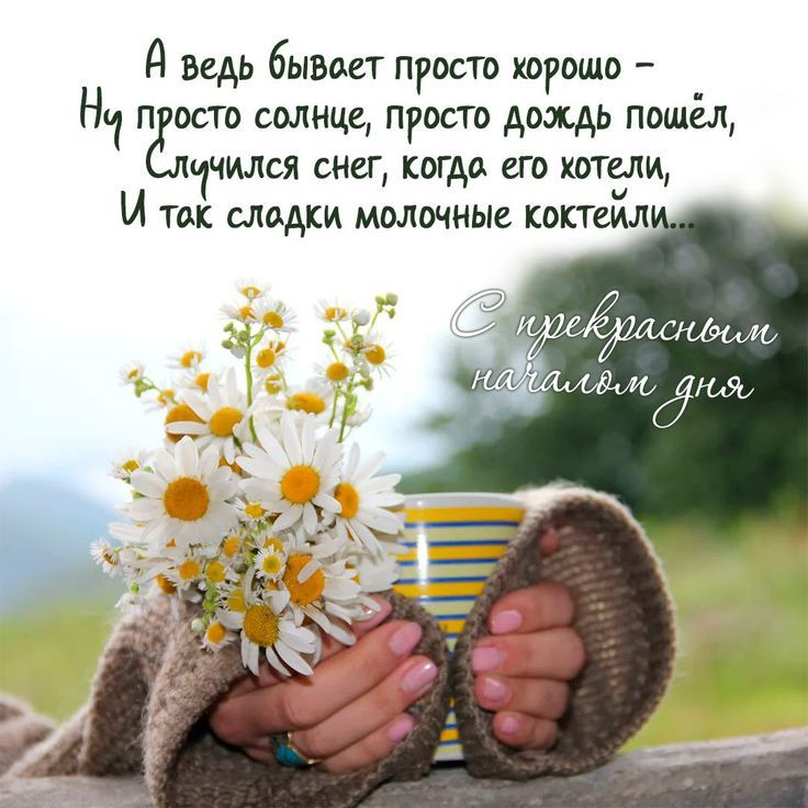 А ведь бывает просто хорошо - Ну просто солнце, просто дождь пошёл, Случился снег, когда его хотели, И так сладки молочные коктейли..

С прекрасным началом дня
