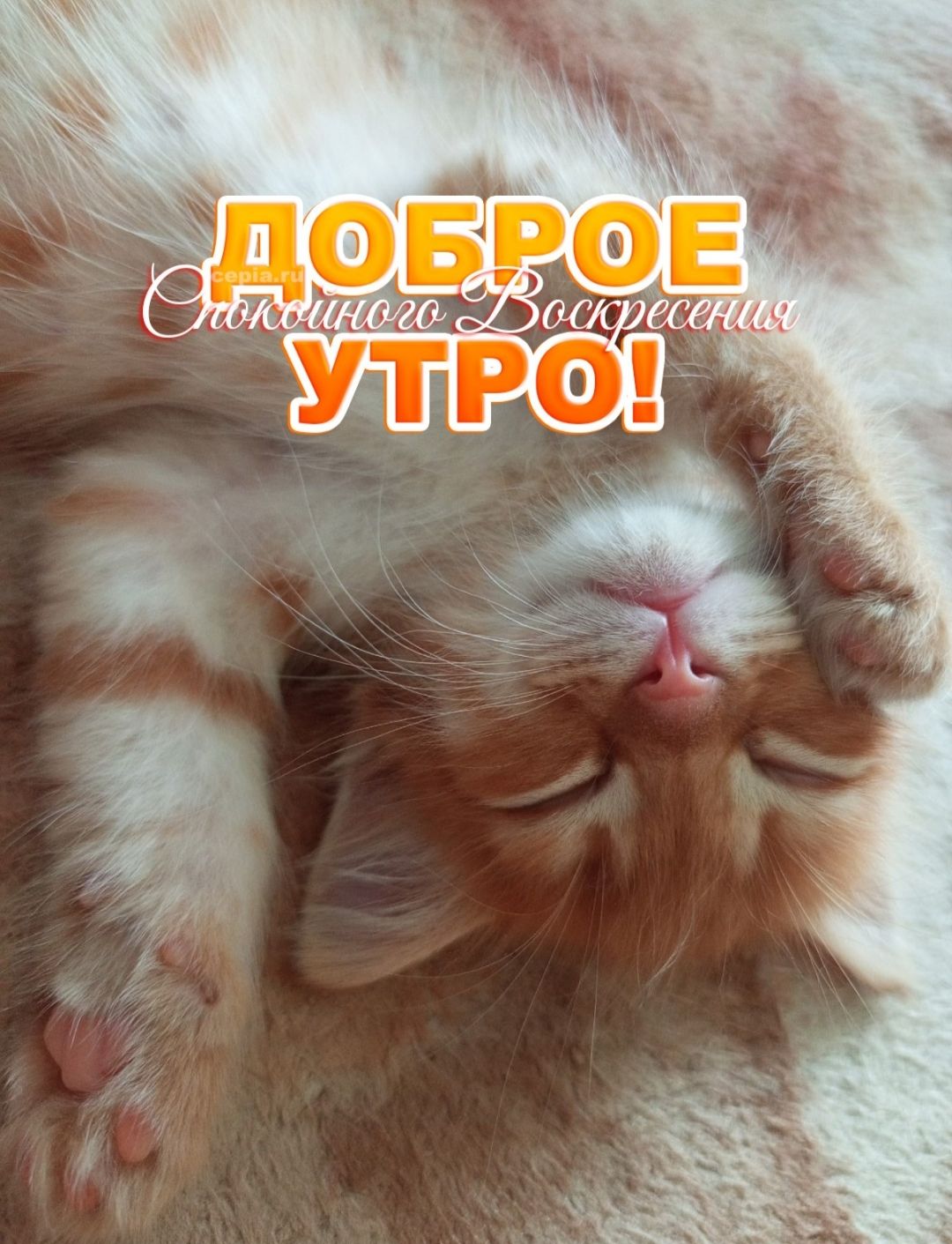 ДОБРОЕ УТРО! Спокойного Воскресения