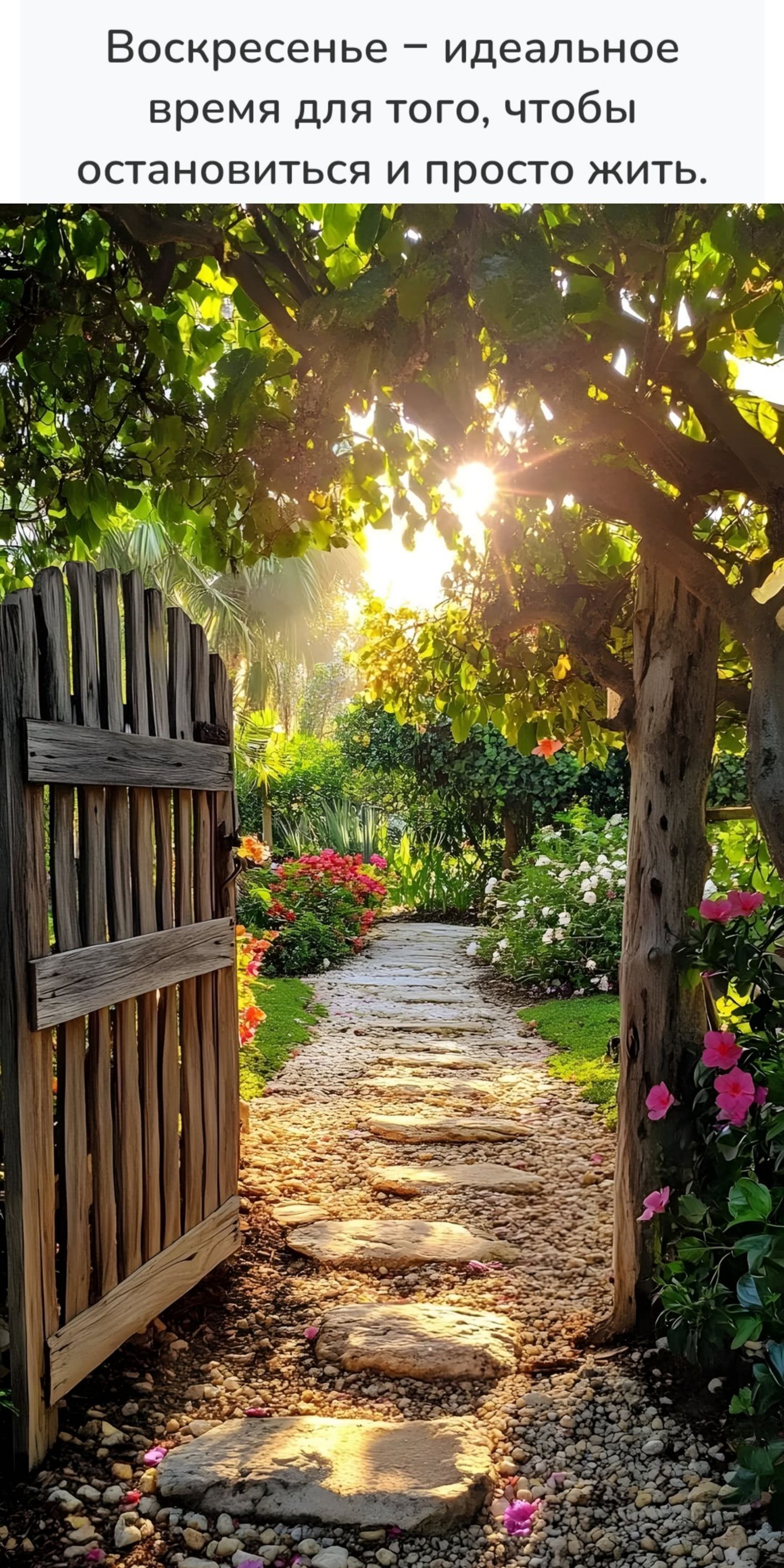 Воскресенье – идеальное время для того, чтобы остановиться и просто жить.