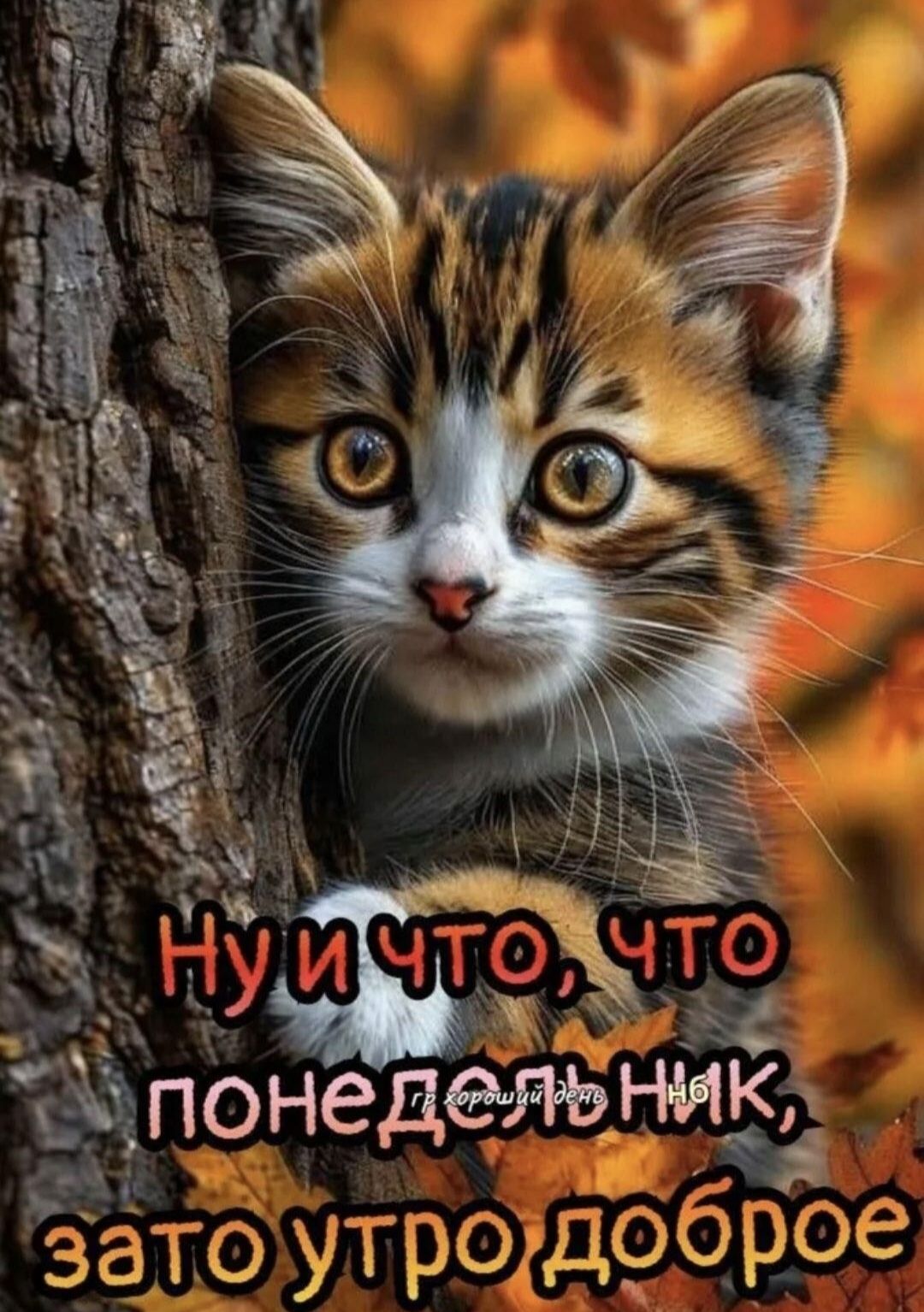 Ну и что, что понедельник, зато утро доброе