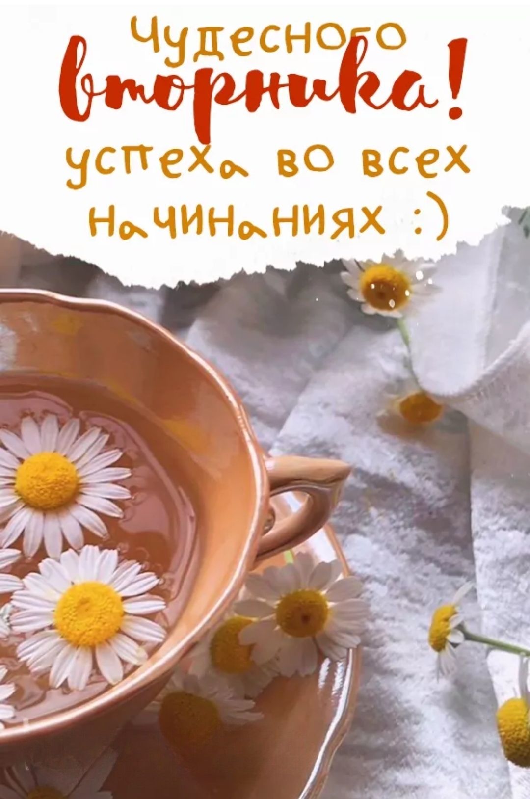 Чудесного вторника! успеха во всех начинаниях :)