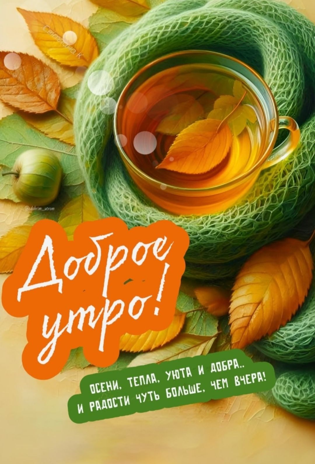 Доброе утро! Осени, тепла, уюта и добра... и радости чуть больше, чем вчера!