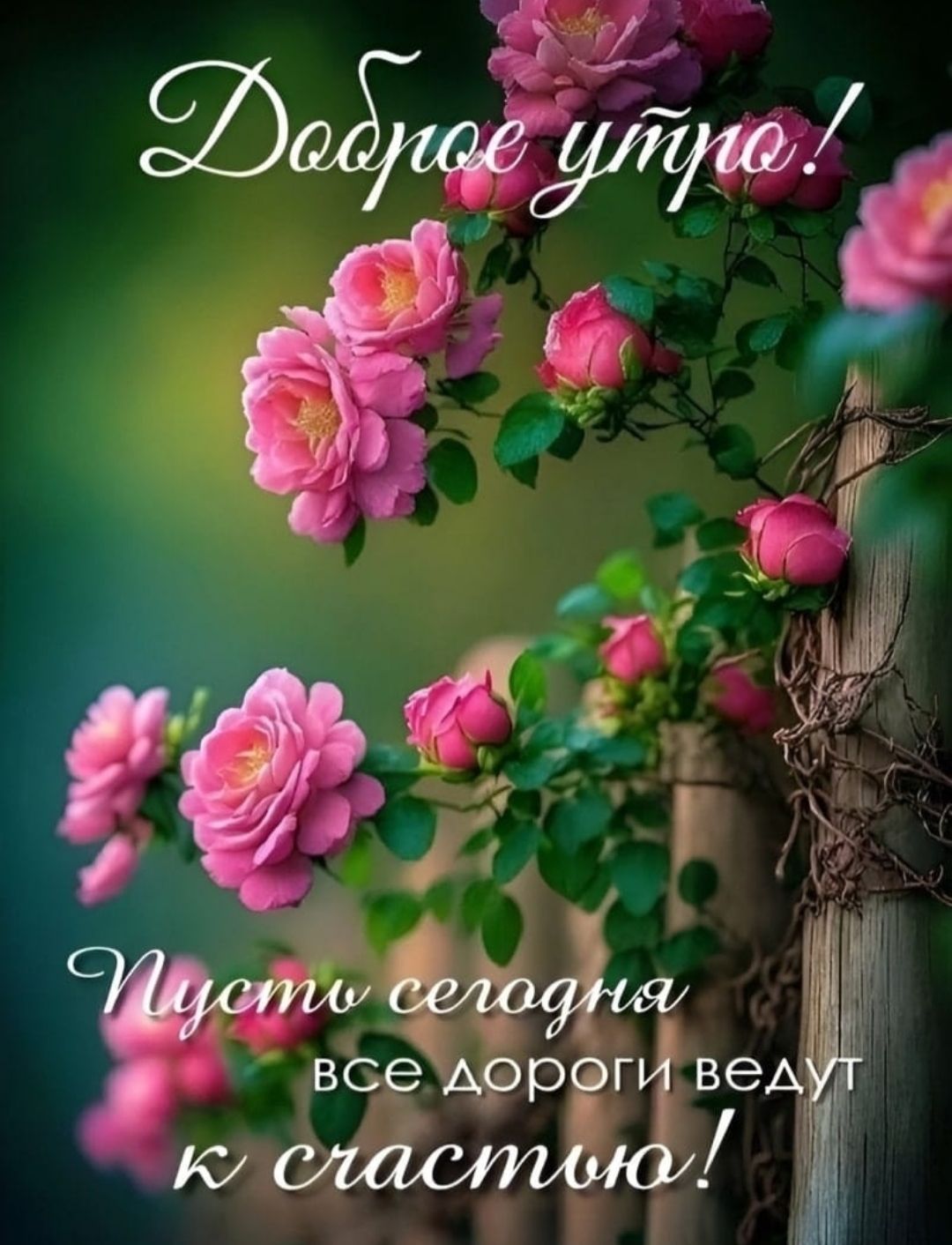Доброе утро! Пусть сегодня все дороги ведут к счастью!