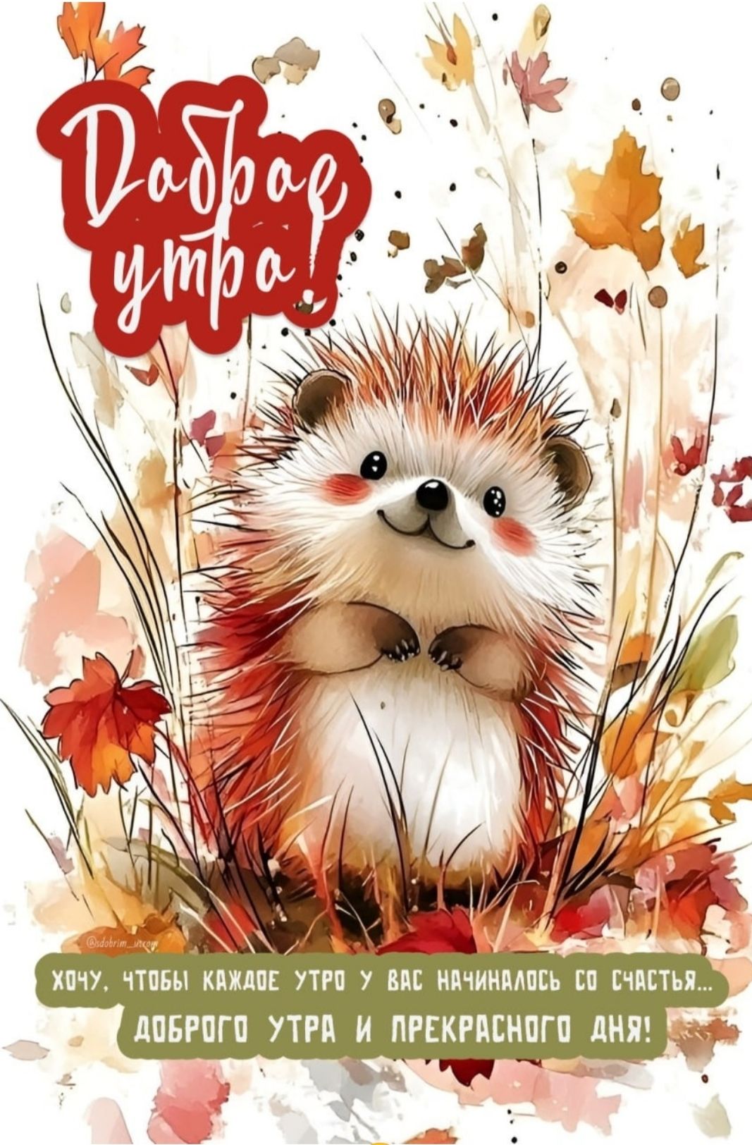 Доброе утро! Хочу, чтобы каждое утро у вас начиналось со счастья... доброго утра и прекрасного дня!