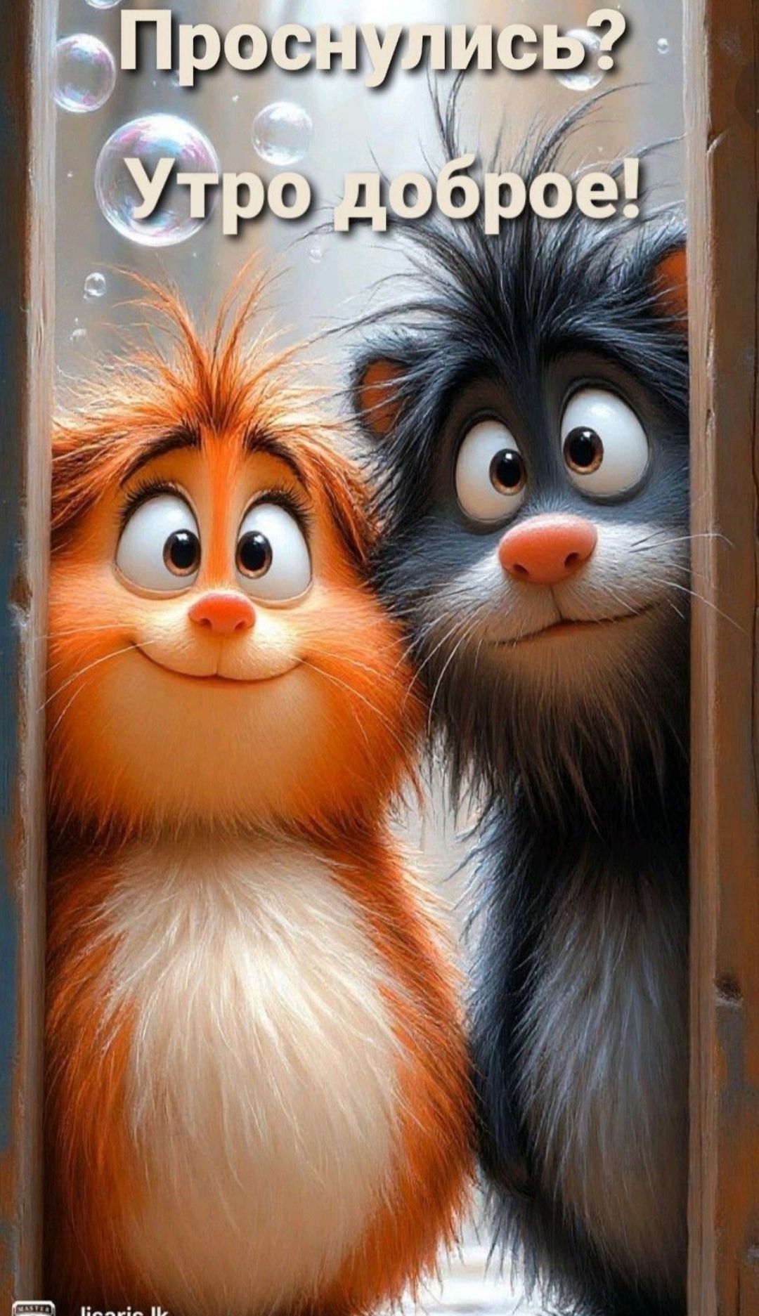 Проснулись? Утро доброе!