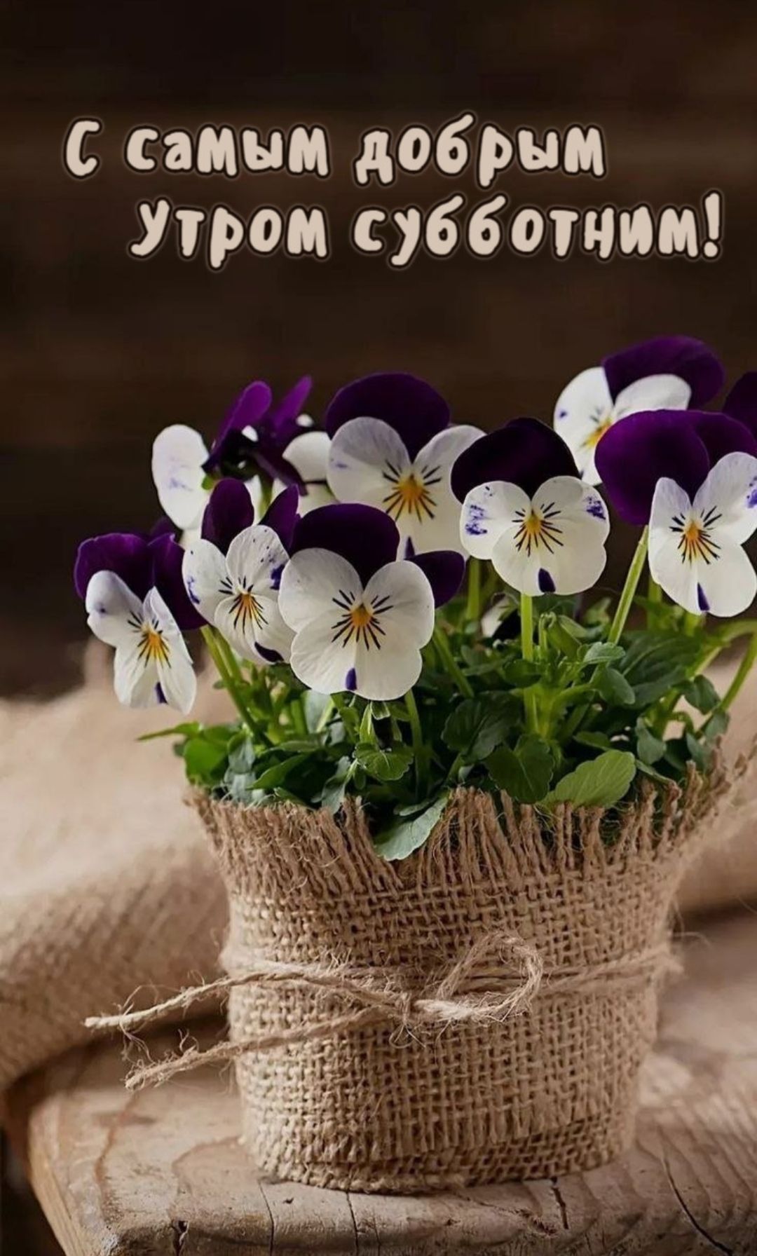 С самым добрым утром субботним!