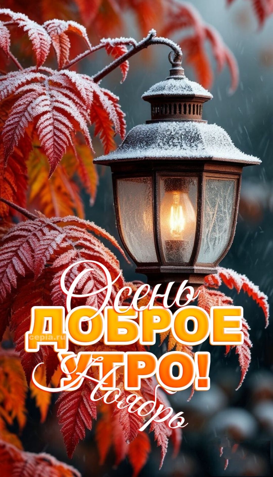 Осень доброе утро! ноябрь