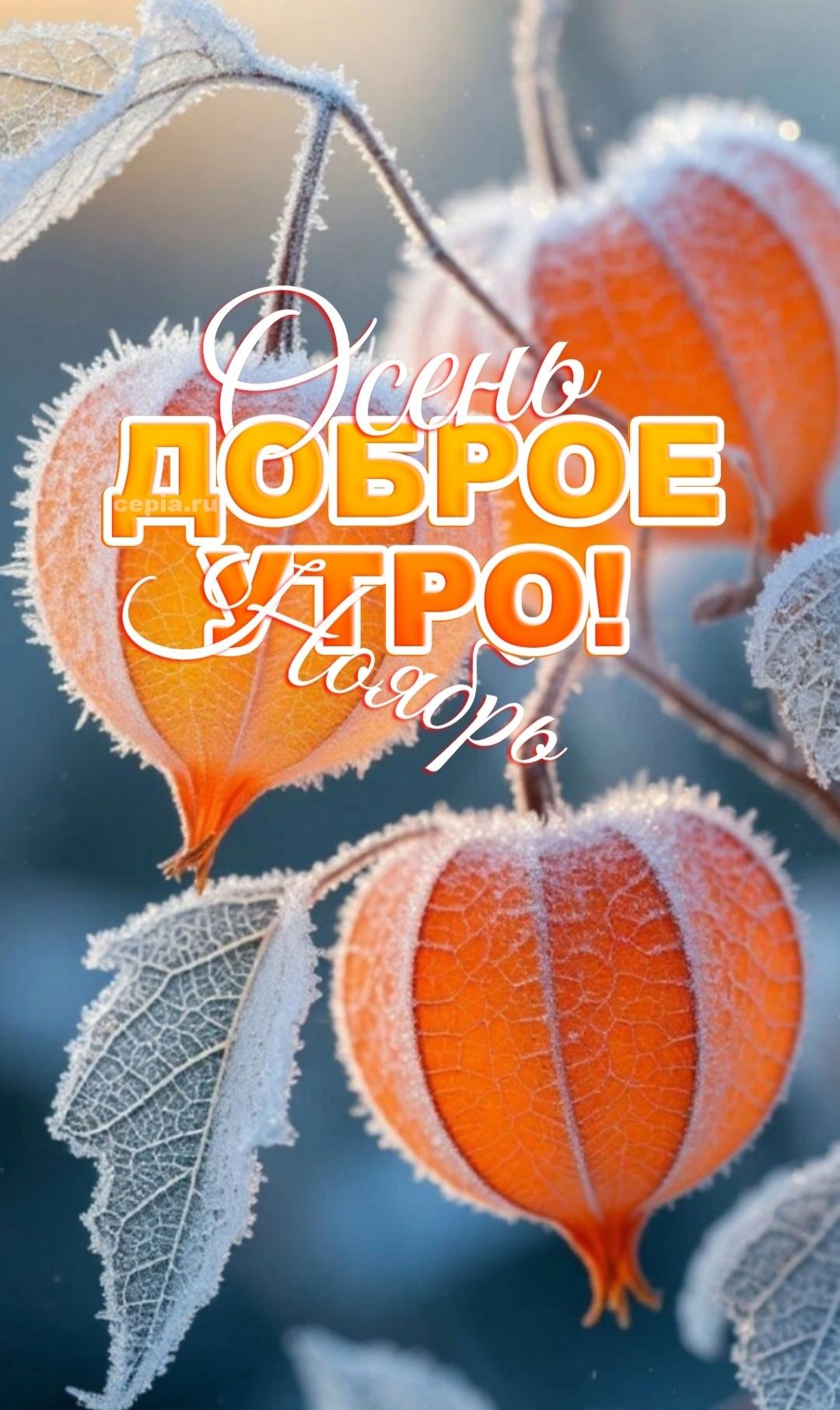 Осень доброе утро!